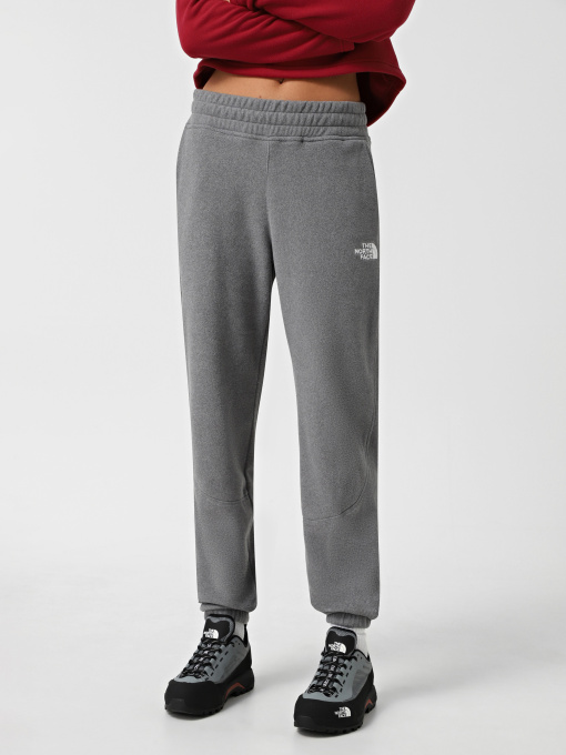 Брюки The North Face модель NF0A855QDYY1 Фото