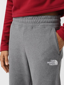 Брюки The North Face модель NF0A855QDYY1 Фото