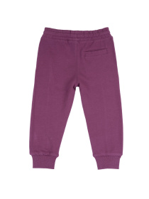 Джоггеры Chicco модель 090.05985.083 Фото