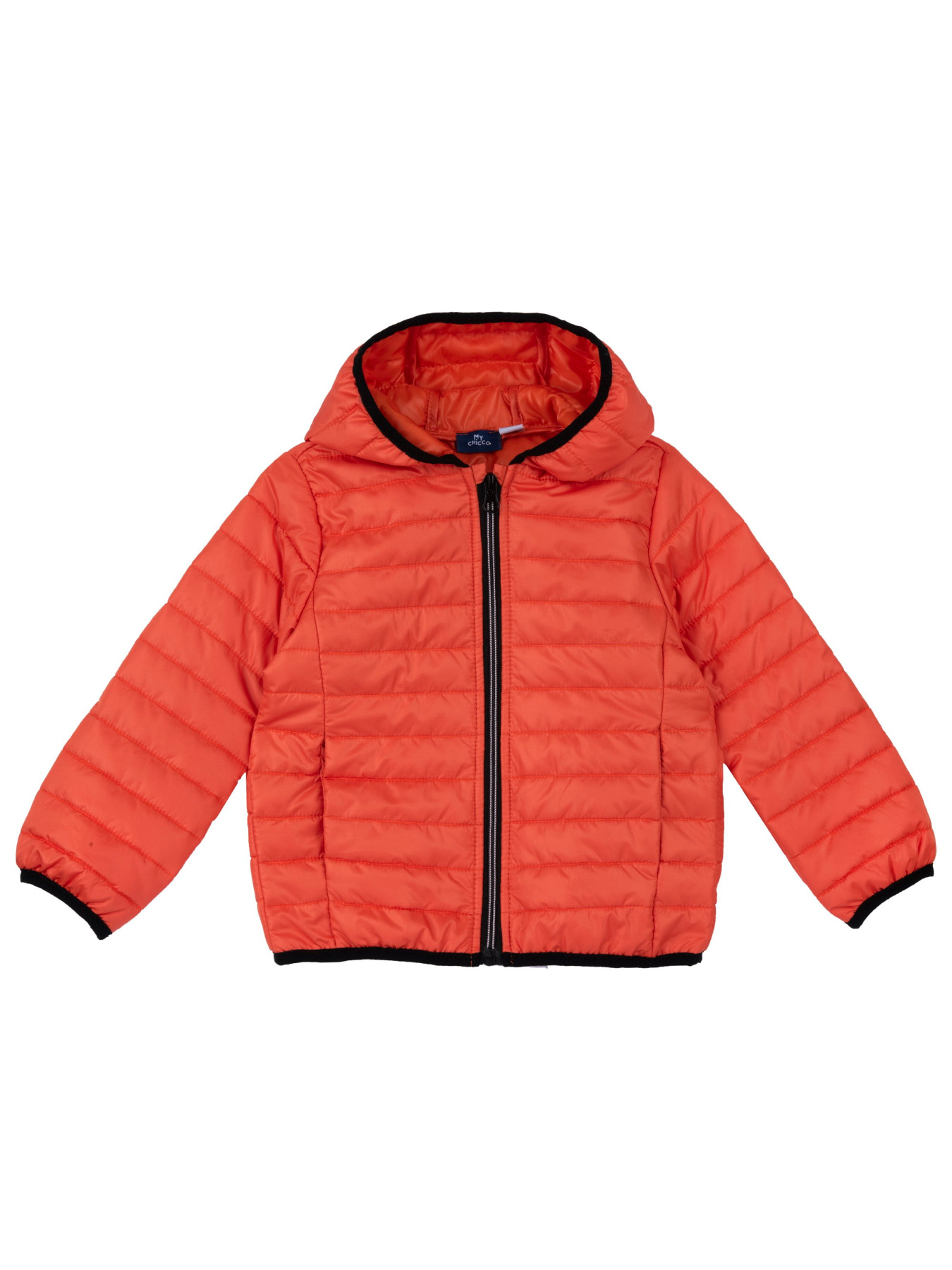 Демисезонная куртка Chicco модель 090.87814.046 Фото