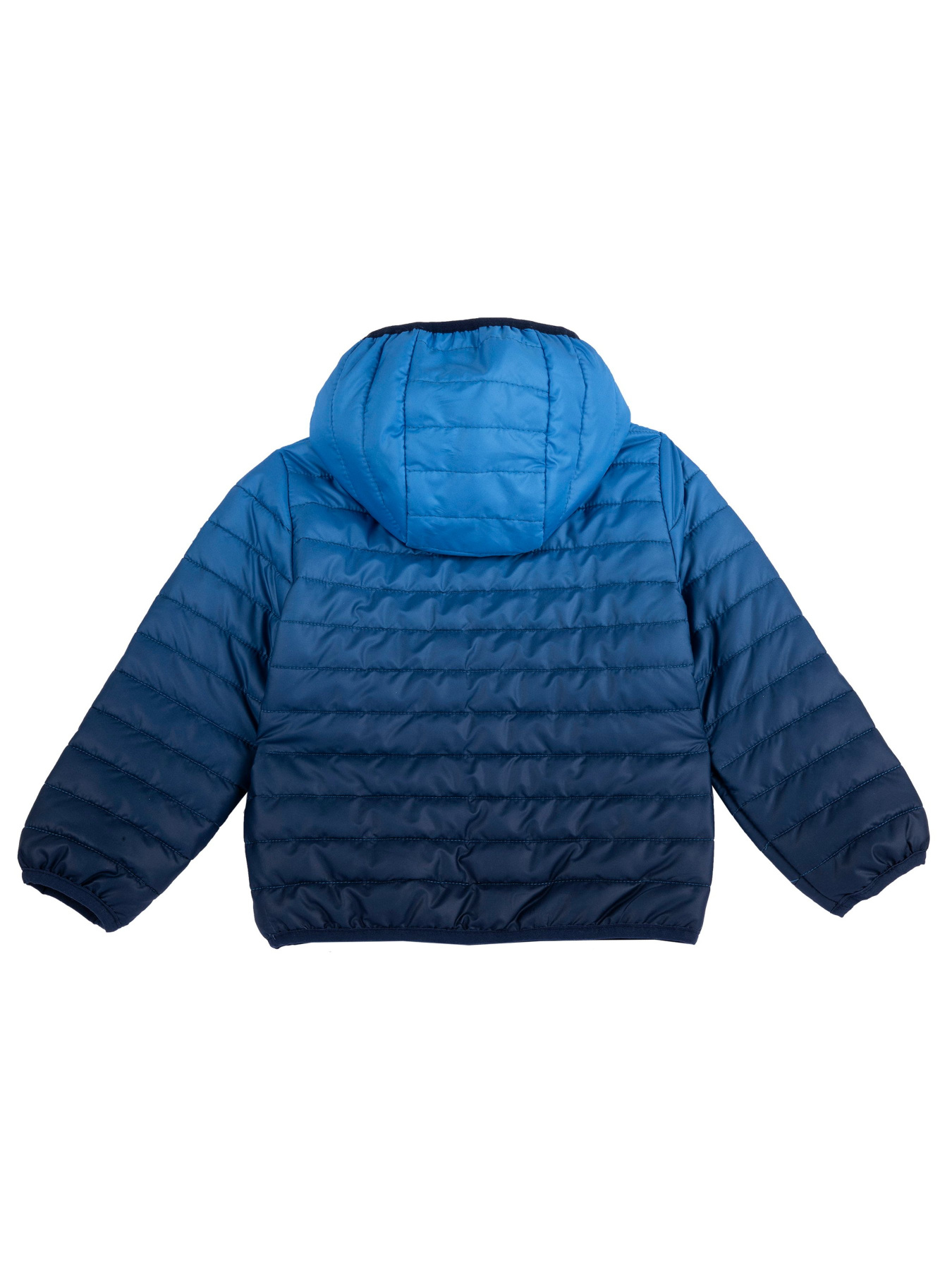 Демісезонна куртка Chicco модель 090.87825.086 Фото