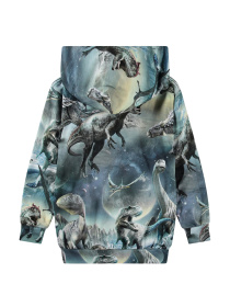 Худи Molo модель 1W24A301.9147 Фото