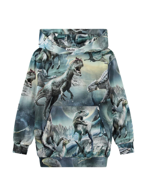 Худи Molo модель 1W24A301.9147 Фото