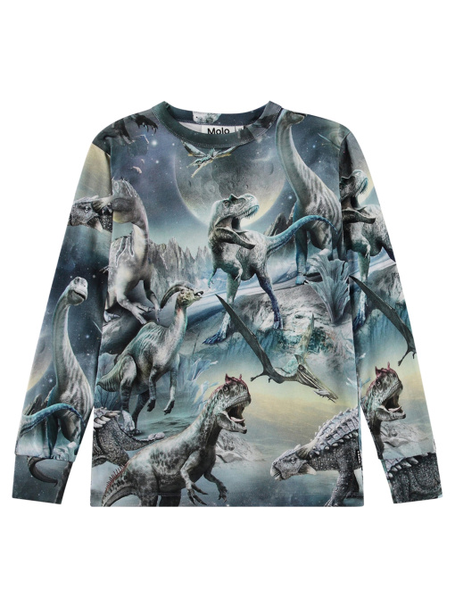 Лонгслив Molo модель 1W24A401.9147 Фото