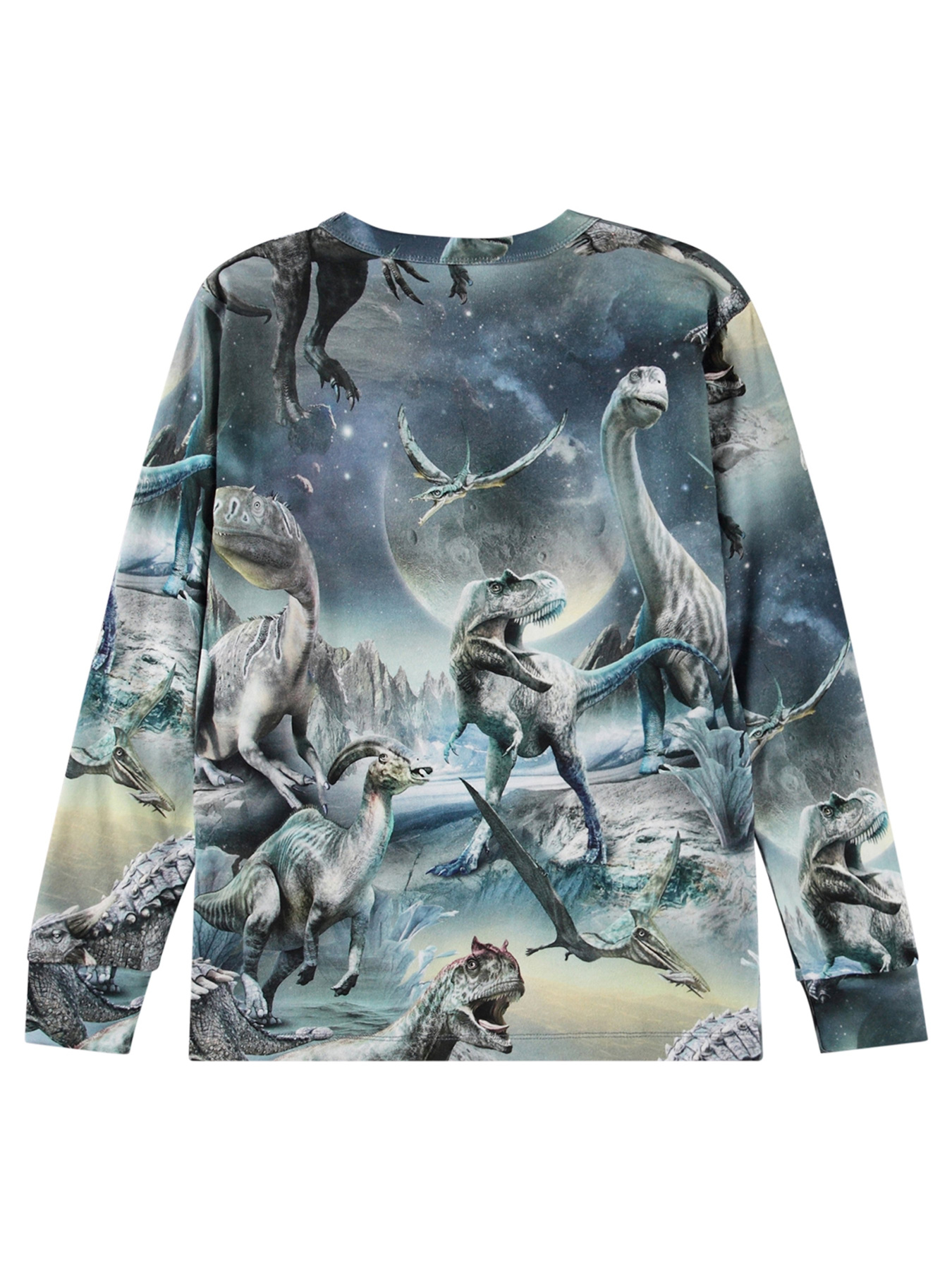 Лонгслів Molo модель 1W24A401.9147 Фото