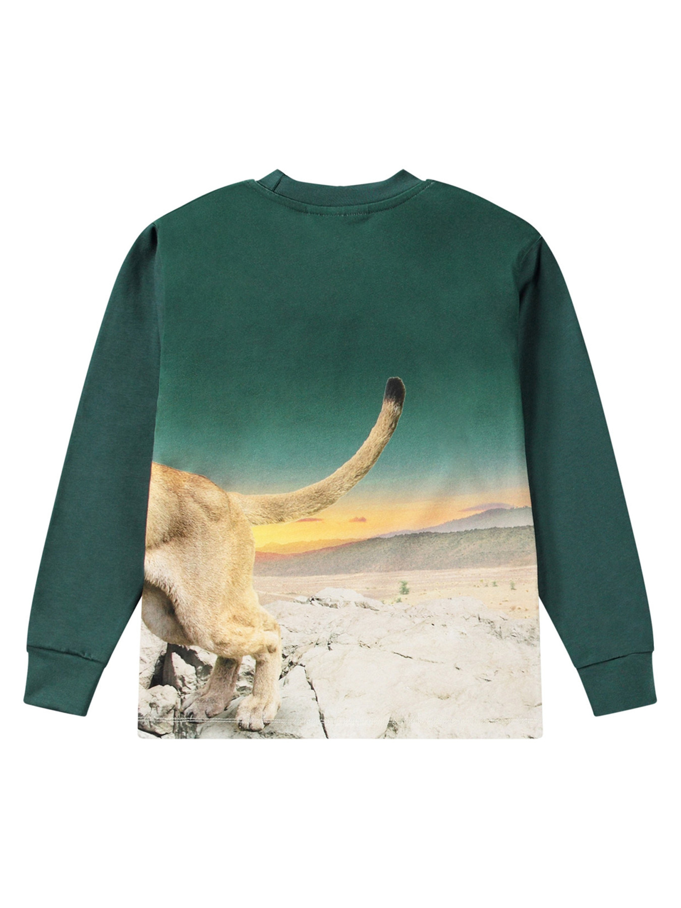 Лонгслив Molo модель 1W24A410.3752 Лонгслив Molo модель 1W24A410.3752 Фото