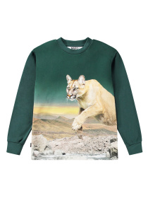 Лонгслив Molo модель 1W24A410.3752 Лонгслив Molo модель 1W24A410.3752 Фото