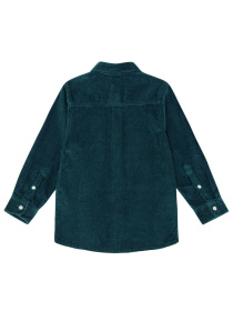 Рубашка повседневная Molo модель 1W24C207.2319 Фото