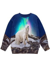 Світшот Molo модель 1W24J201.3705 Фото