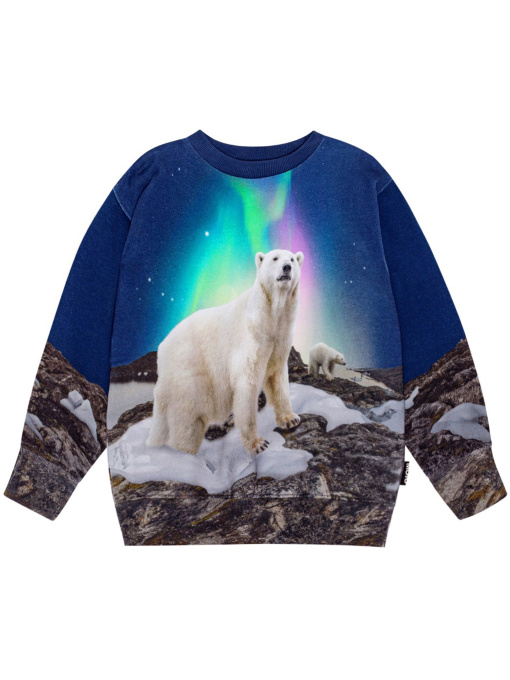 Свитшот Molo модель 1W24J201.3705 Фото