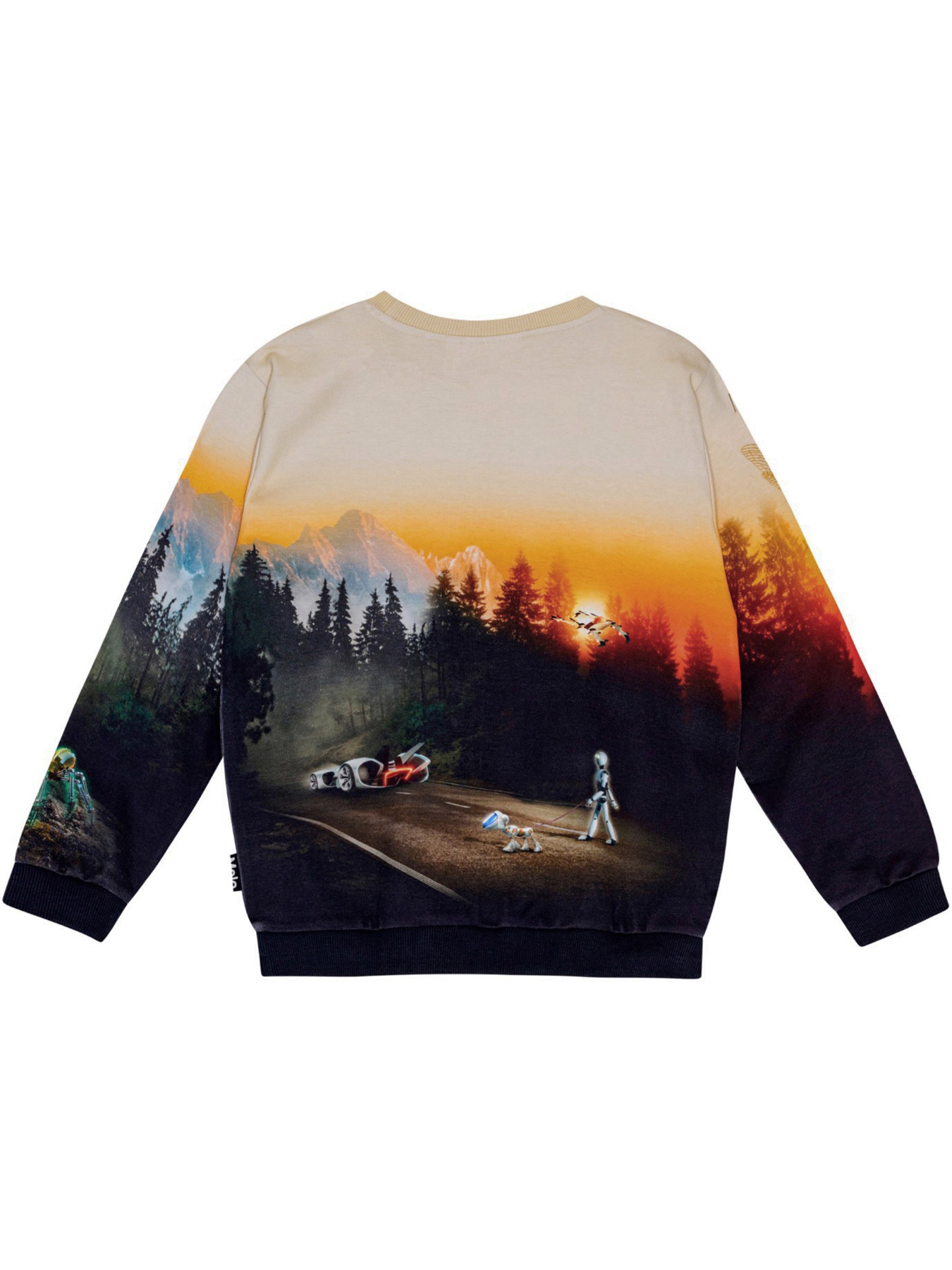 Світшот Molo модель 1W24J209.3717 Фото