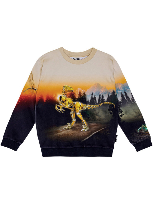 Свитшот Molo модель 1W24J209.3717 Фото