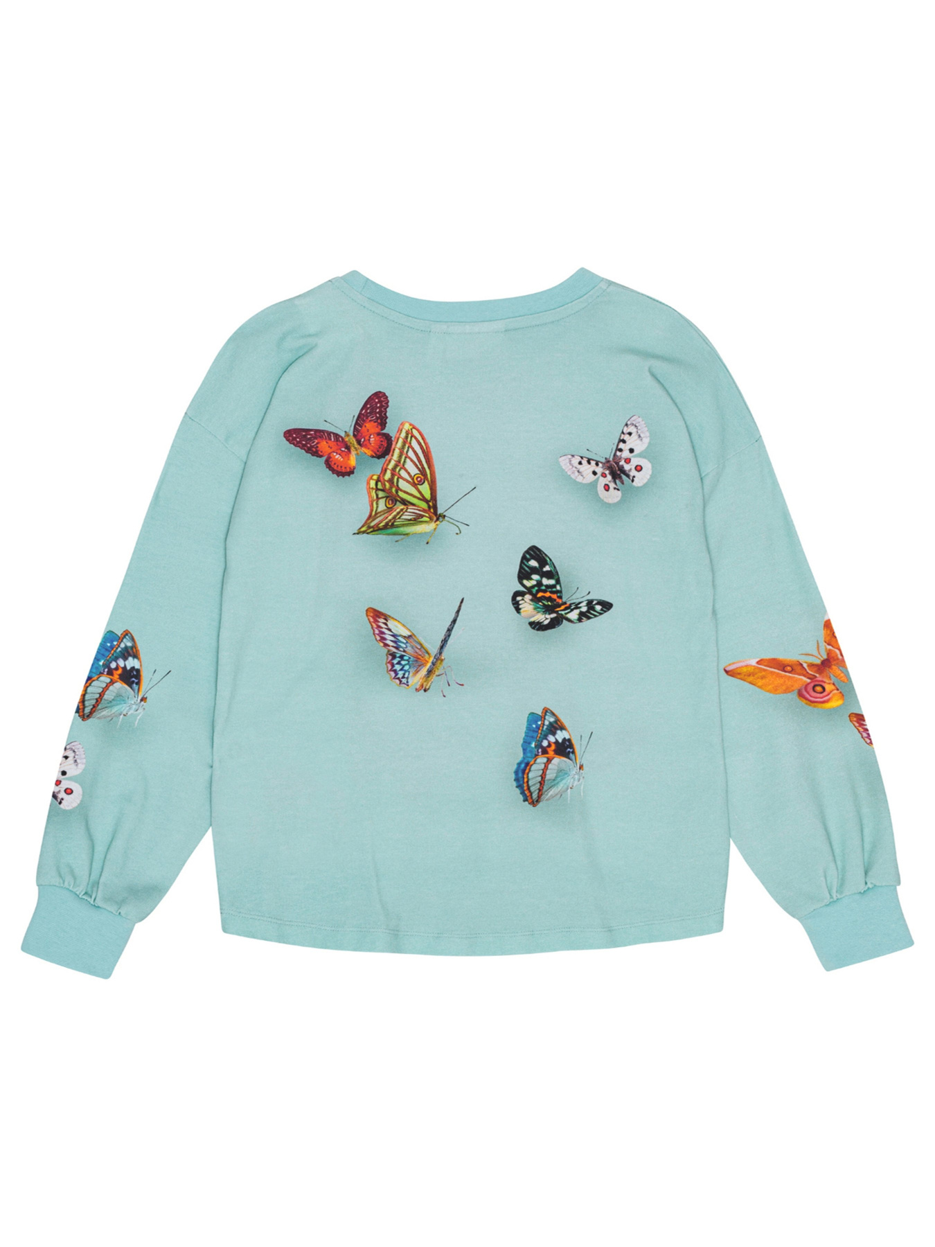 Лонгслів Molo модель 2W24A408.3613 Лонгслів Molo модель 2W24A408.3613 Фото