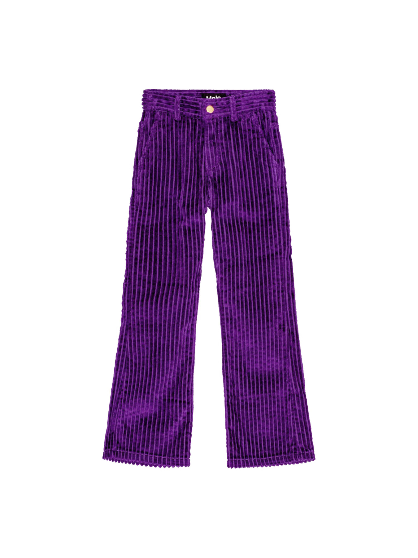 Повседневные штаны Molo модель 2W24I106.8967 Фото