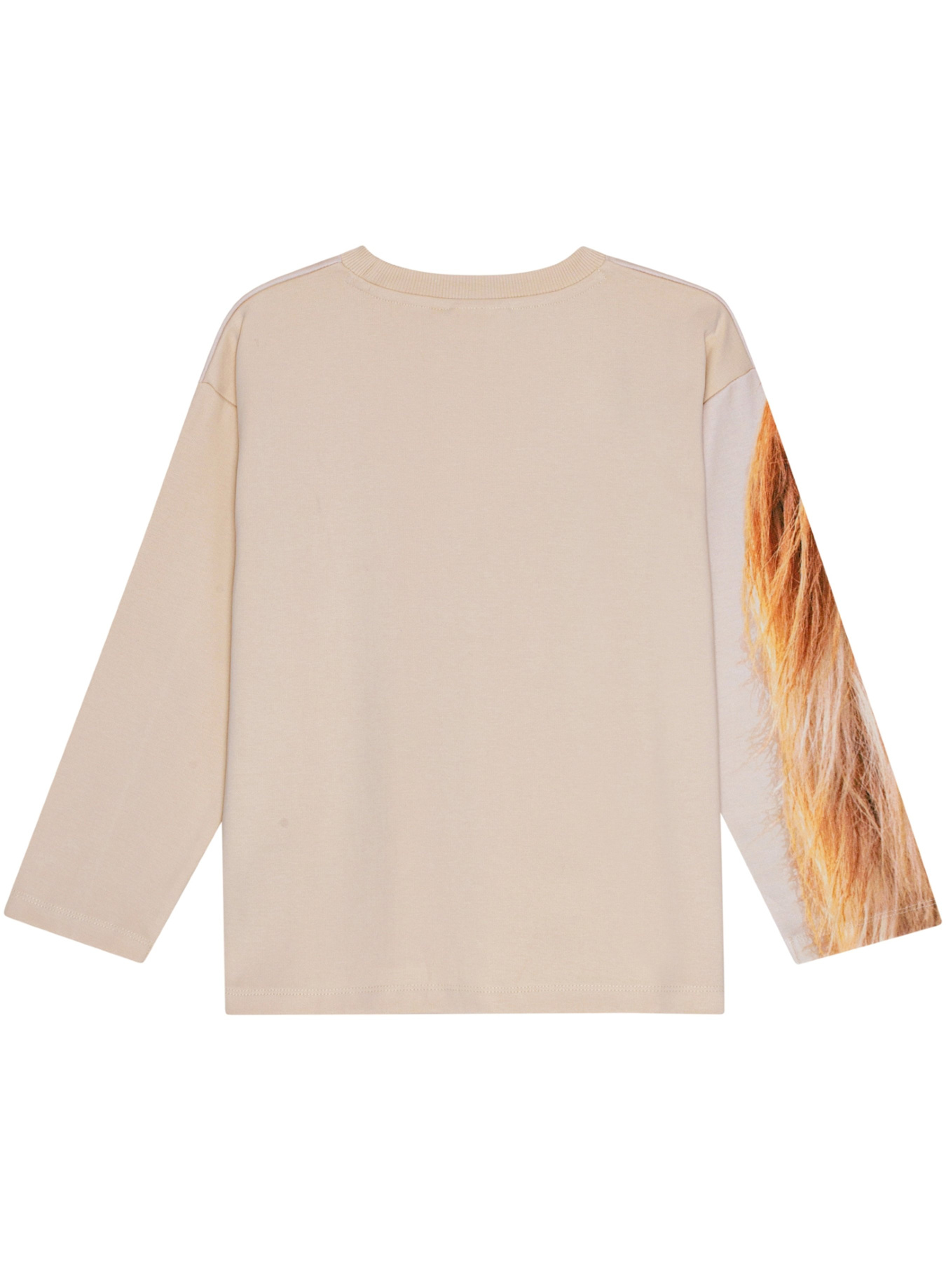 Лонгслив Molo модель 2W24J213.3662 Фото