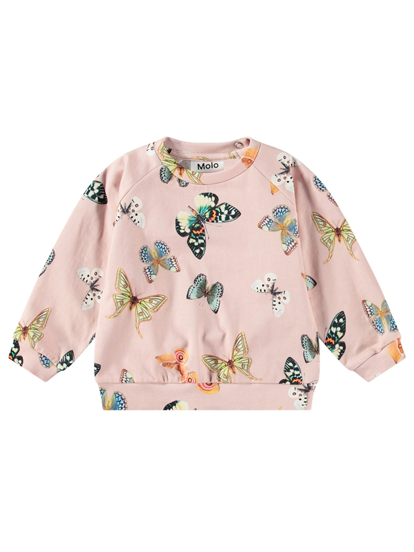 Свитшот Molo модель 4W24J201.9138 Фото