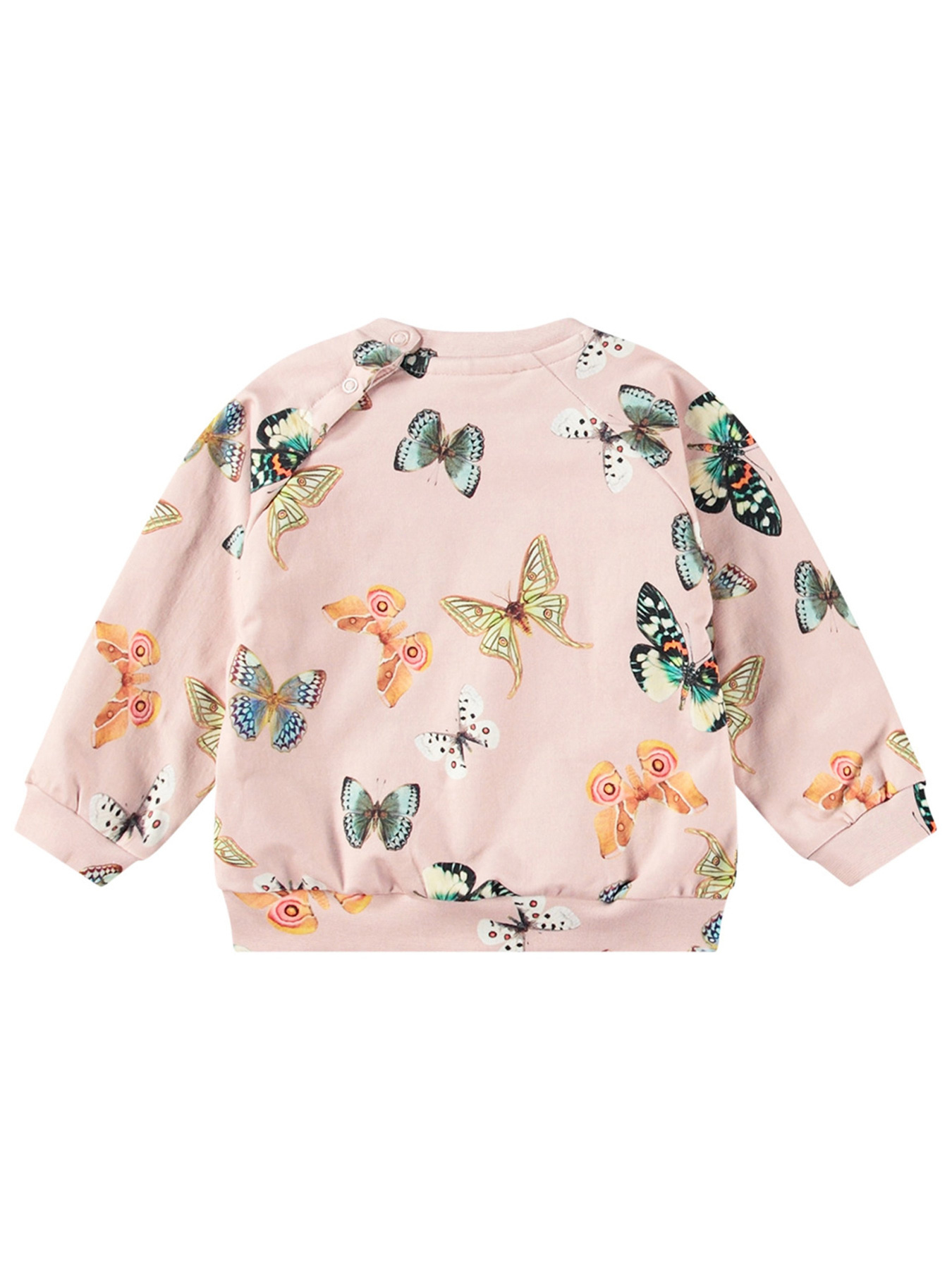 Світшот Molo модель 4W24J201.9138 Фото