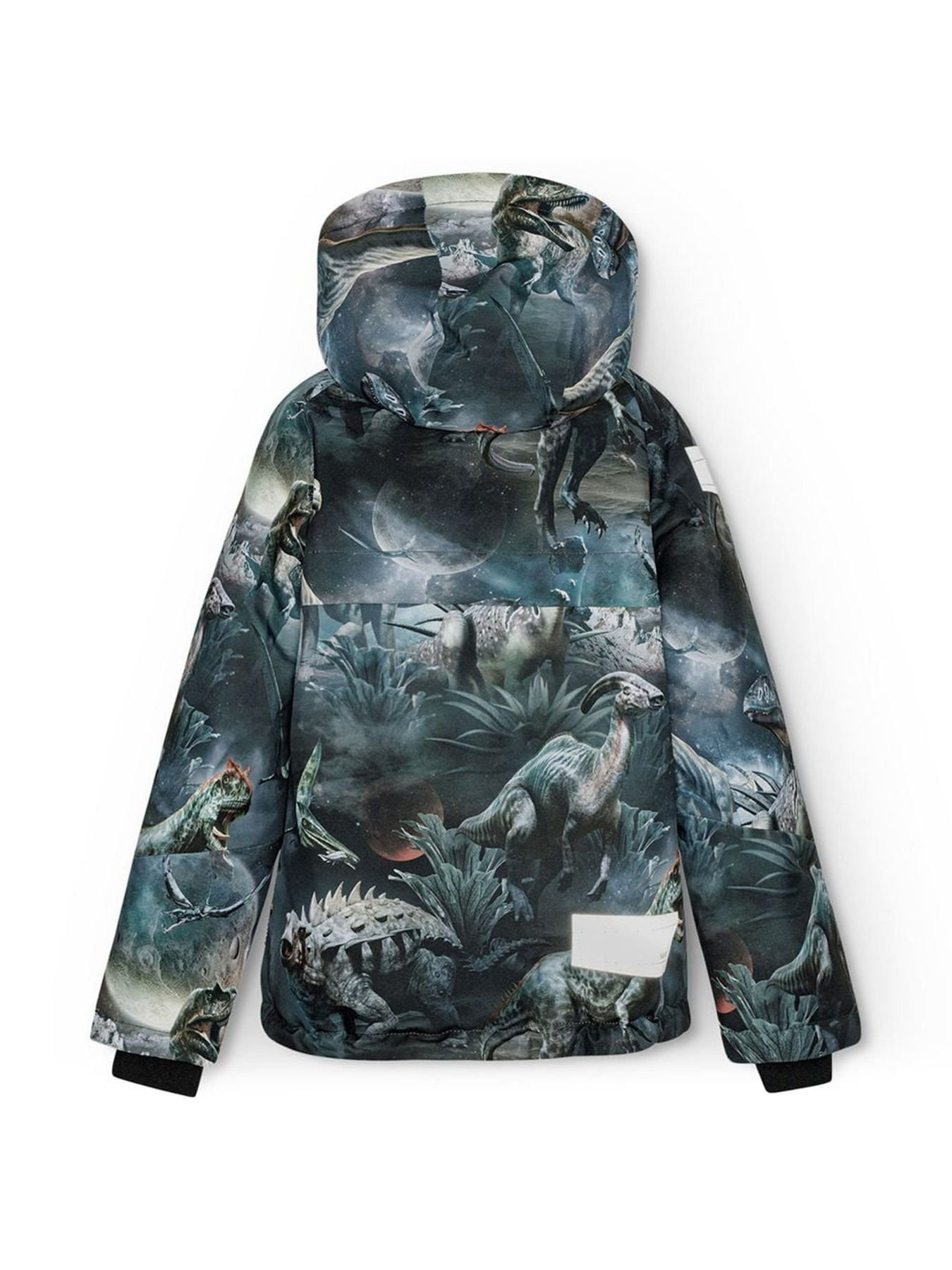 Зимняя куртка Molo модель 5W24M311.9113 Фото