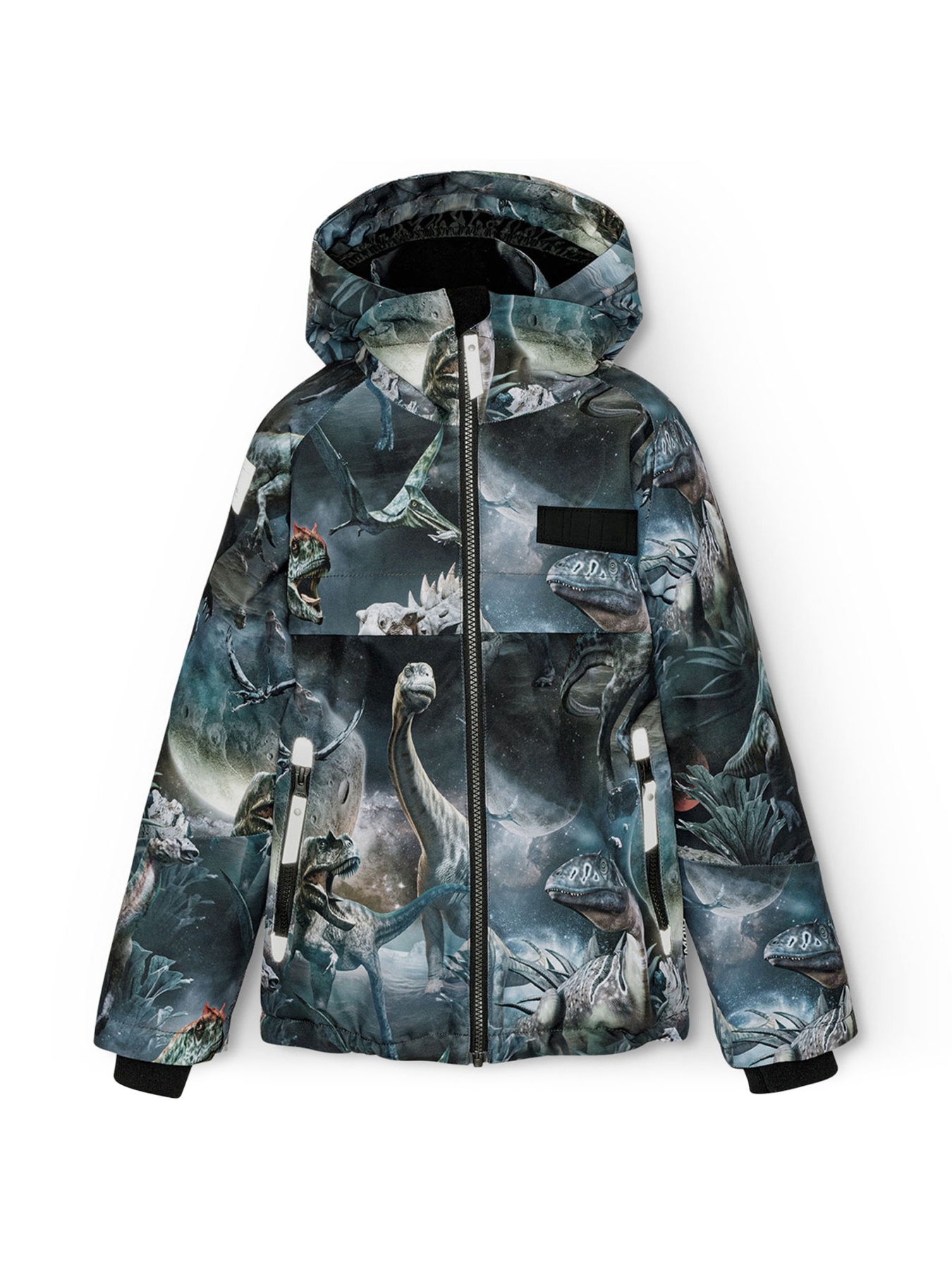 Зимняя куртка Molo модель 5W24M311.9113 Фото