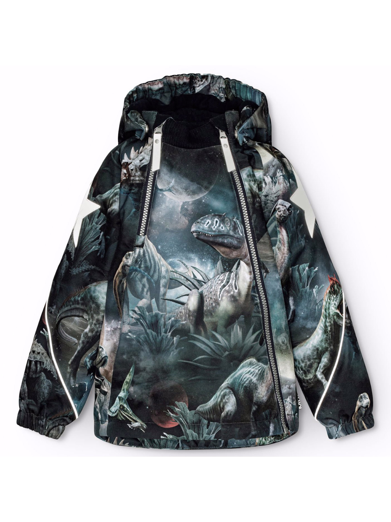 Зимова куртка Molo модель 5W24M317.9113 Зимова куртка Molo модель 5W24M317.9113 Фото