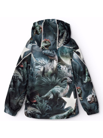 Зимова куртка Molo модель 5W24M317.9113 Зимова куртка Molo модель 5W24M317.9113 Фото