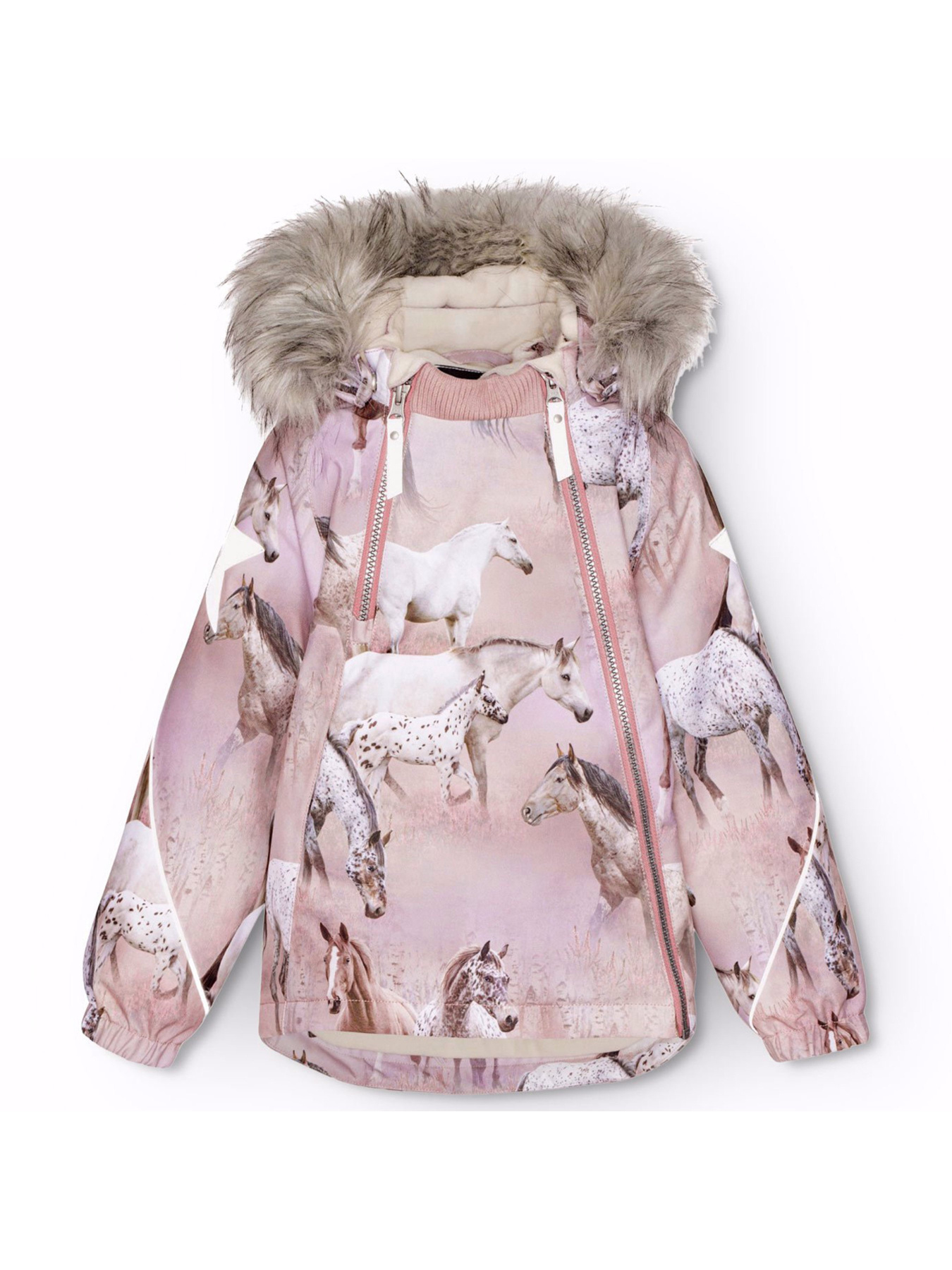 Зимова куртка Molo модель 5W24M318.9109 Фото