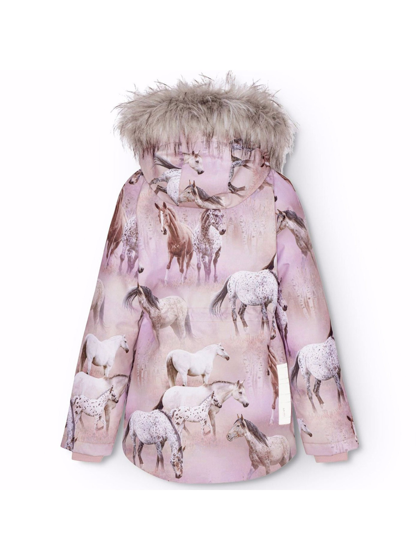 Зимова куртка Molo модель 5W24M323.9109 Фото