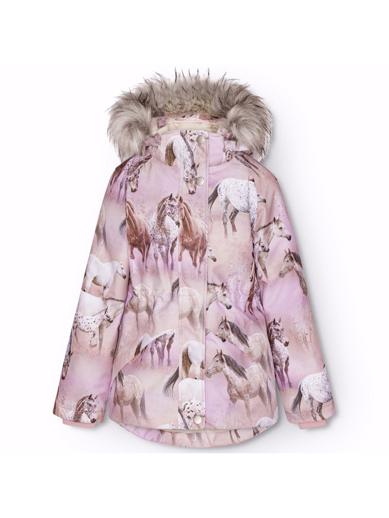 Зимова куртка Molo модель 5W24M323.9109 Фото