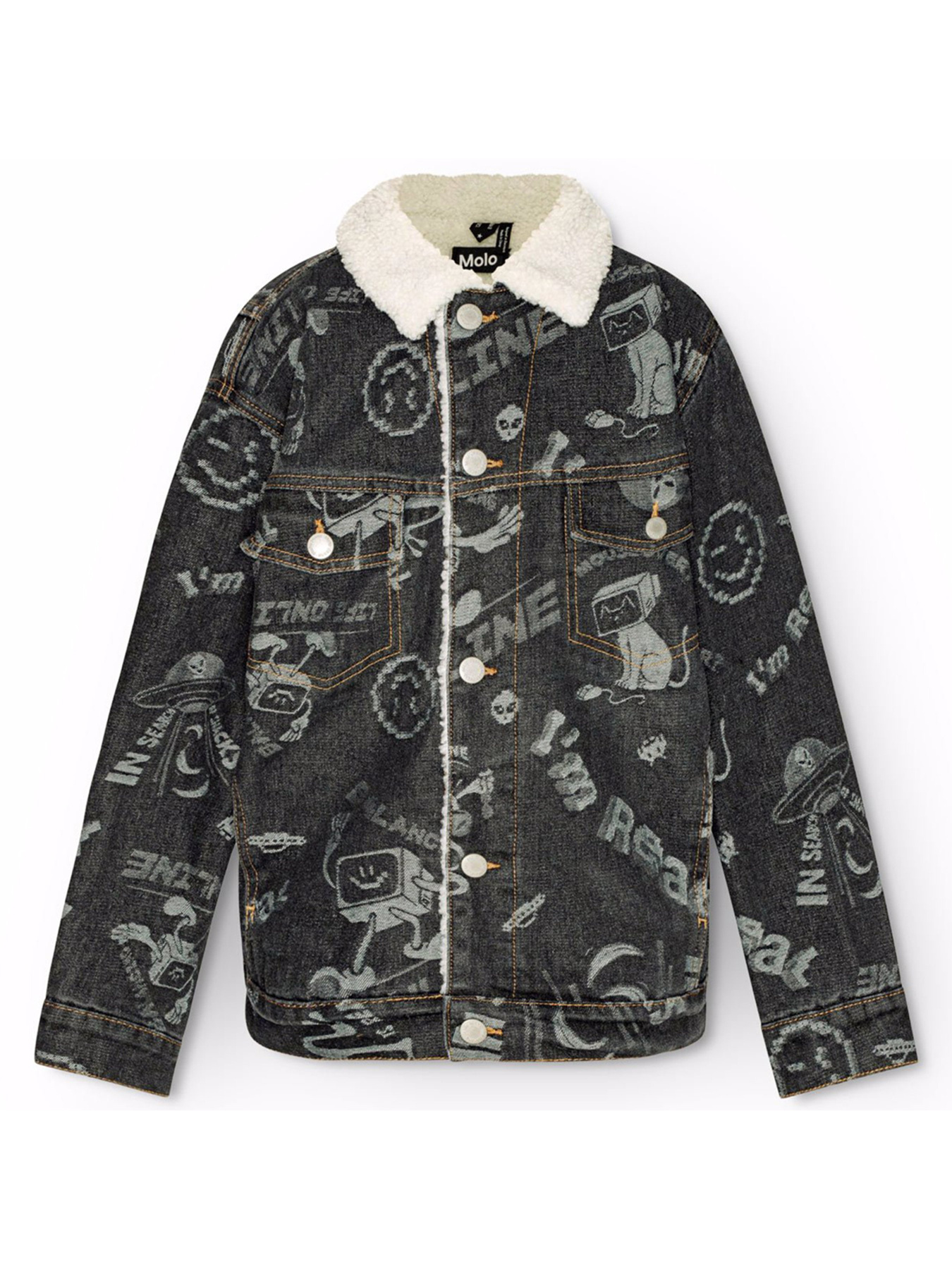 Демисезонная куртка Molo модель 5W24M335.9184 Фото