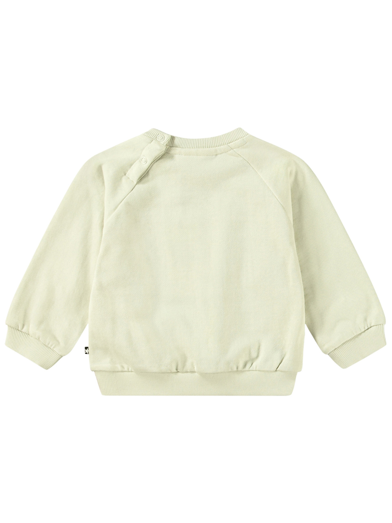 Світшот Molo модель 6W24J201.3668 Фото