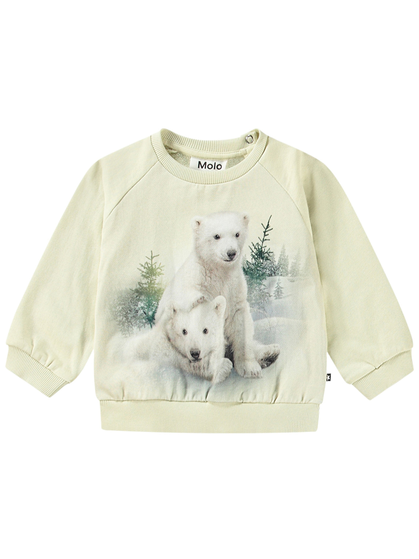 Світшот Molo модель 6W24J201.3668 Фото