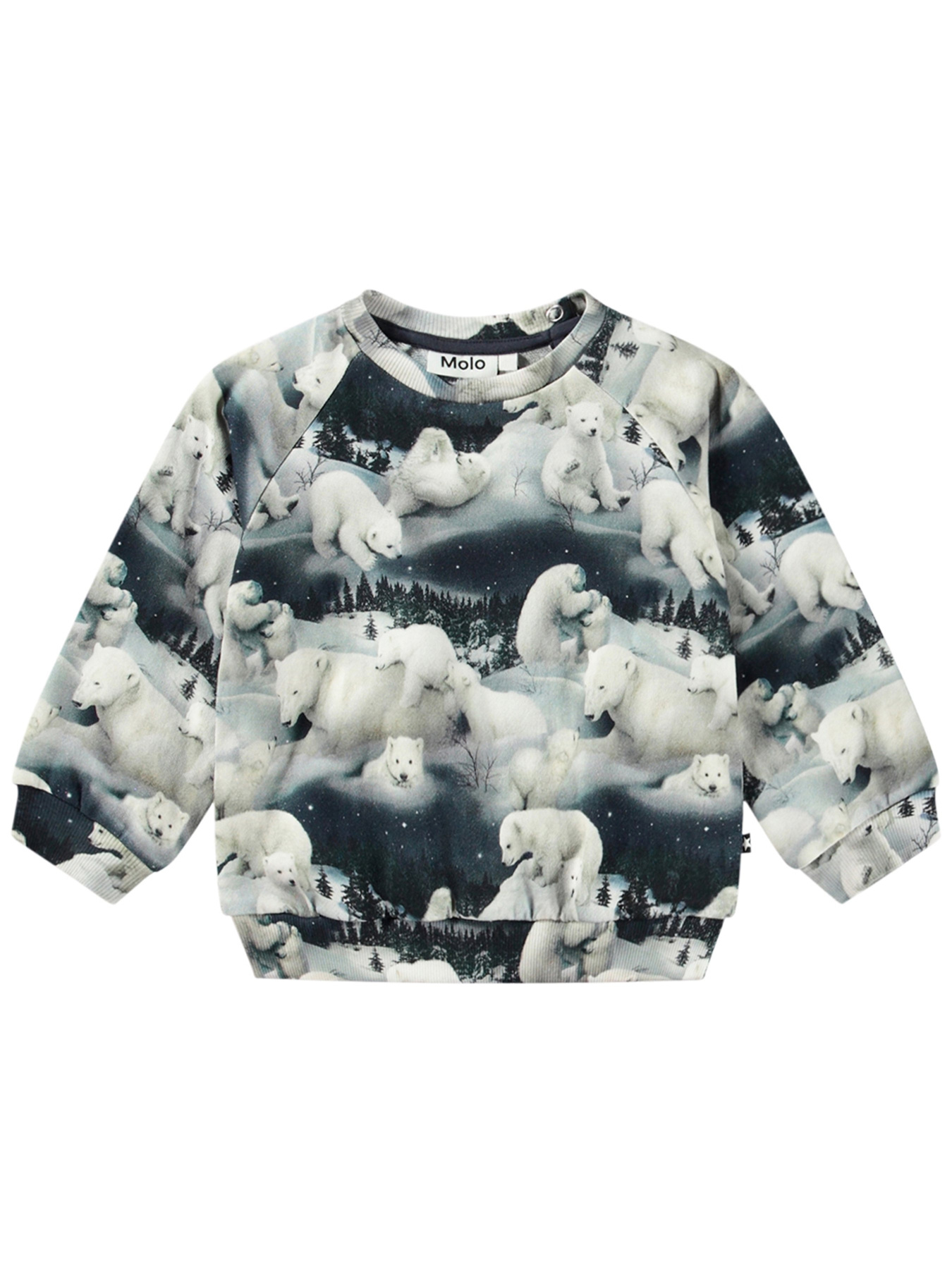 Свитшот Molo модель 6W24J201.9144 Фото