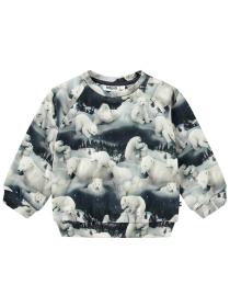 Свитшот Molo модель 6W24J201.9144 Фото