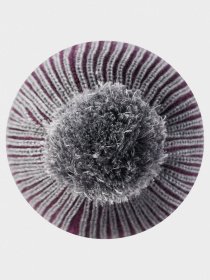 Шапка REIMA модель 518536_4960 Фото