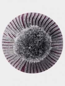 Шапка REIMA модель 518536_4960 Шапка REIMA модель 518536_4960 Фото