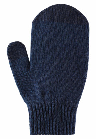 Варежки REIMA модель 527305-6980 Фото