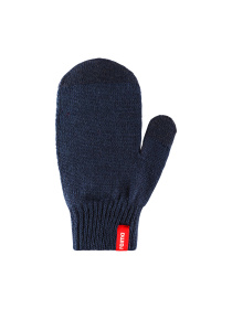 Варежки REIMA модель 527305-6980 Фото