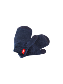 Варежки REIMA модель 527305-6980 Фото