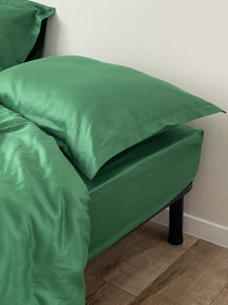 Простирадло на резинці зелене Cozy модель 9700834 Фото