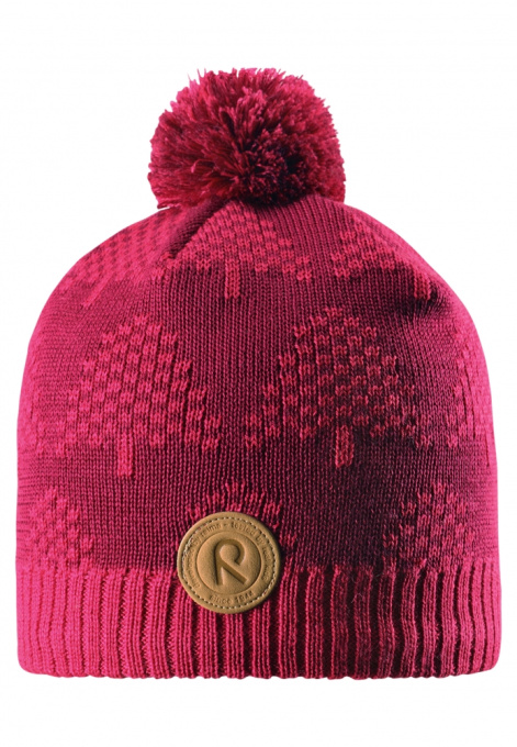 Шапка REIMA модель 528563_3560 Фото