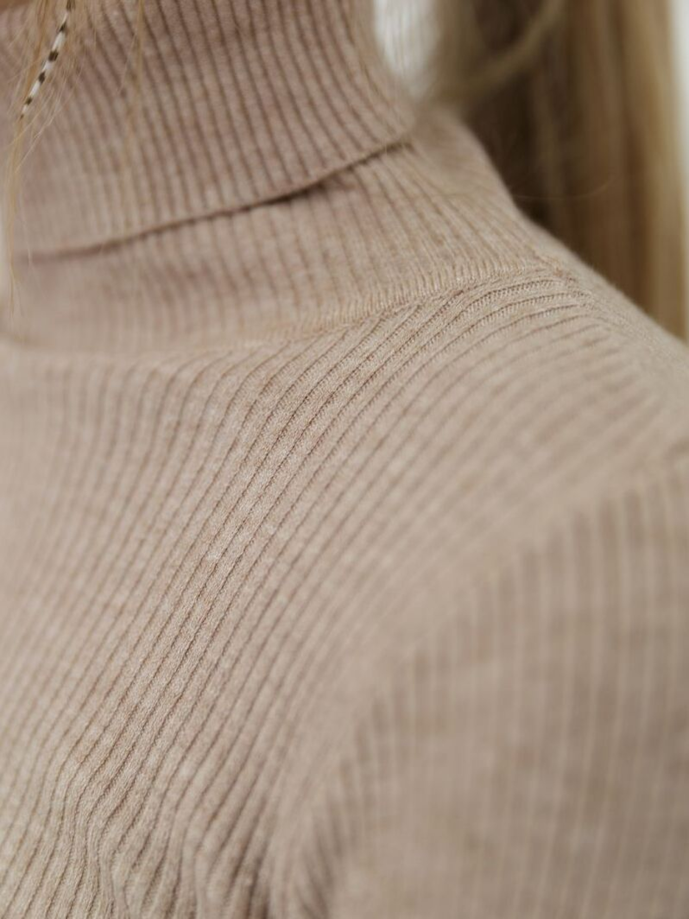 Водолазка Ager модель У-1121085::000000023 Фото