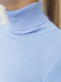 Водолазка Ager модель У-1121085::000000031 Фото