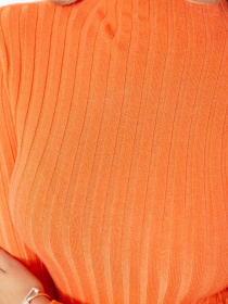 Водолазка Ager модель У-1126200::000000062 Фото