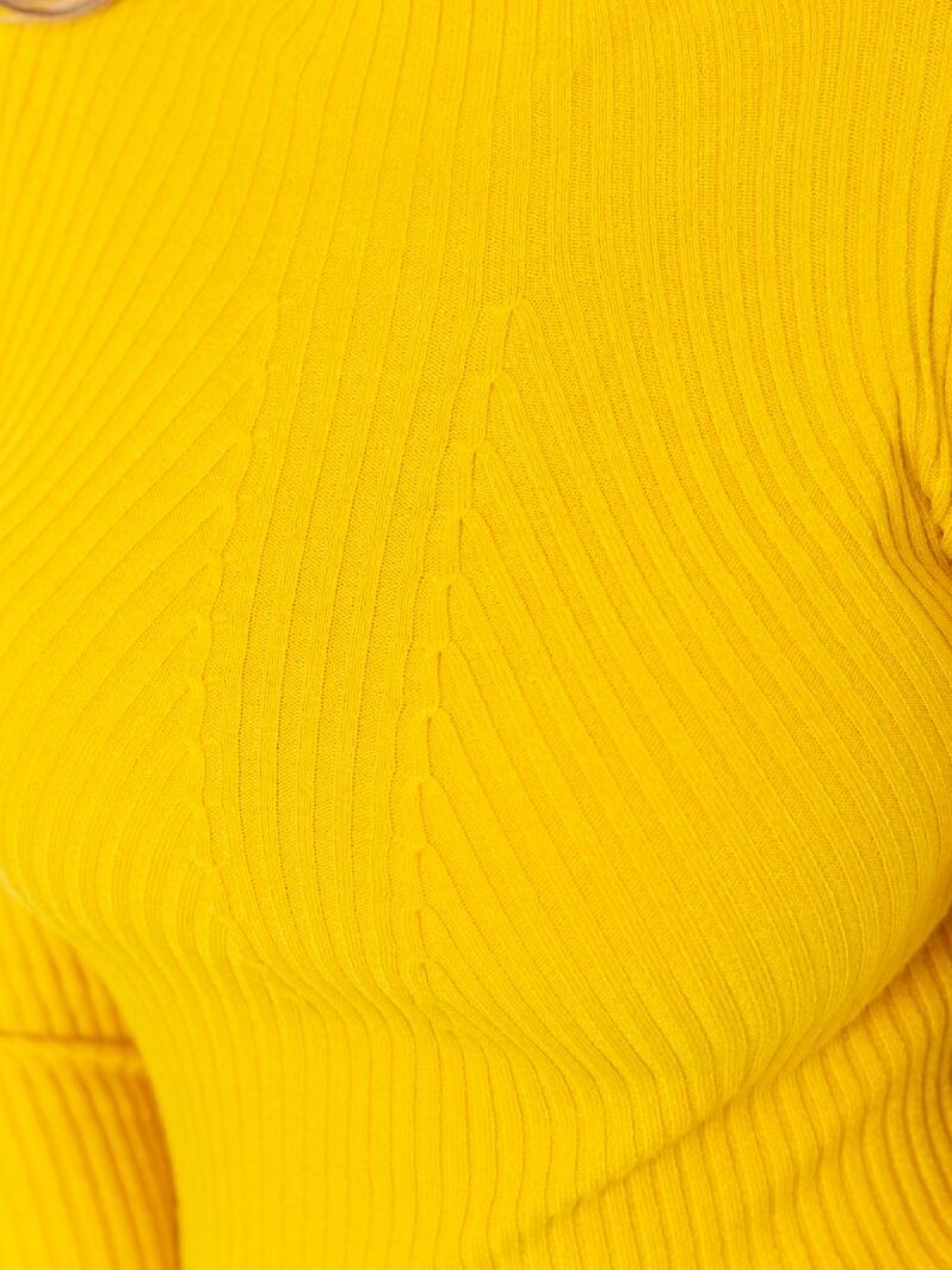 Водолазка Ager модель У-1126207::000000036 Фото