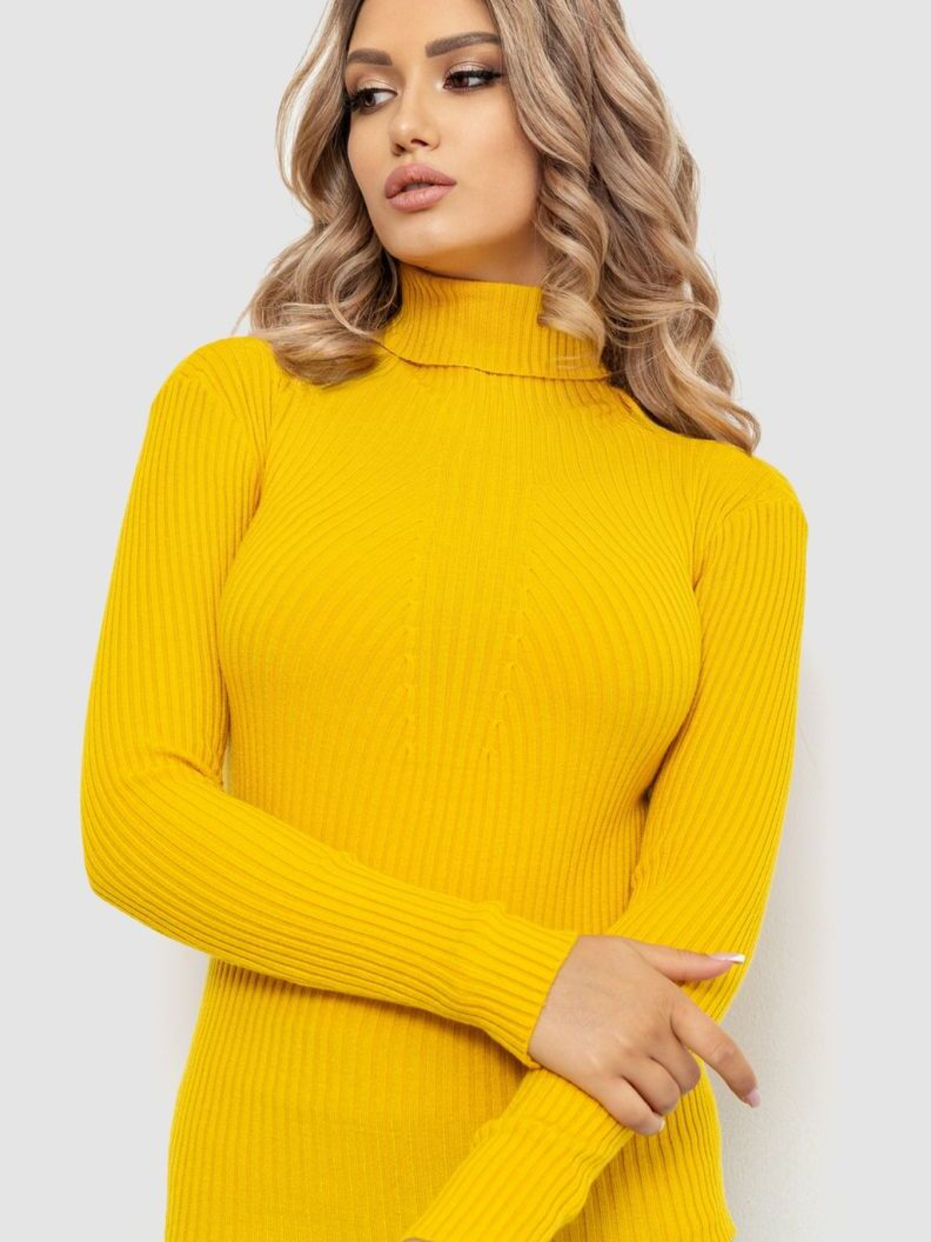 Водолазка Ager модель У-1126207::000000036 Фото