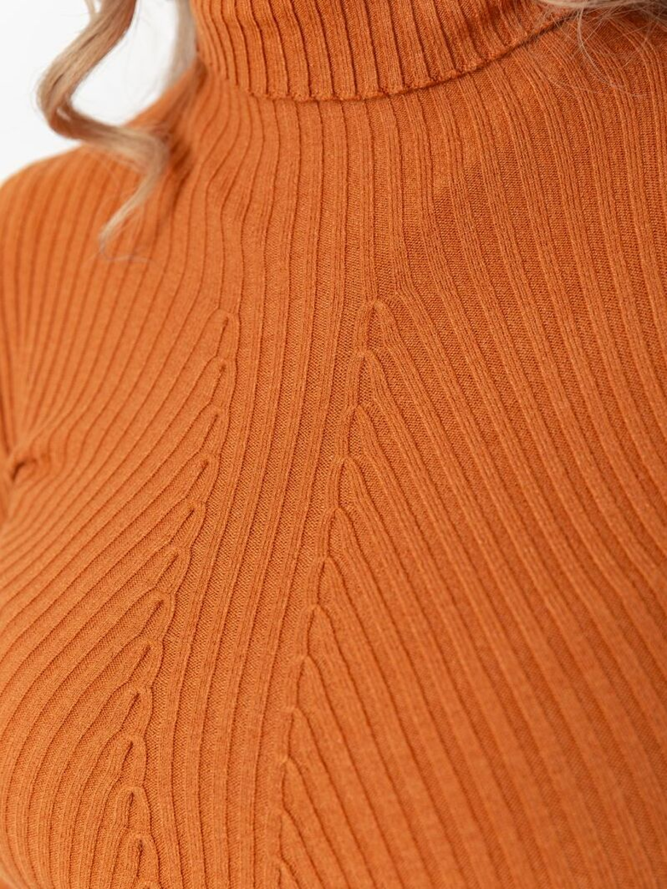 Водолазка Ager модель У-1126207::000000092 Фото