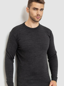 Джемпер Ager модель У-1126333::000000087 Фото