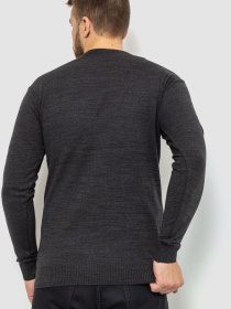 Джемпер Ager модель У-1126333::000000087 Фото