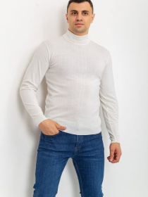 Свитер Ager модель У-1121401::000000014 Фото