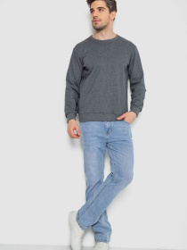 Свитшот Ager модель У-1131335::000000072 Фото